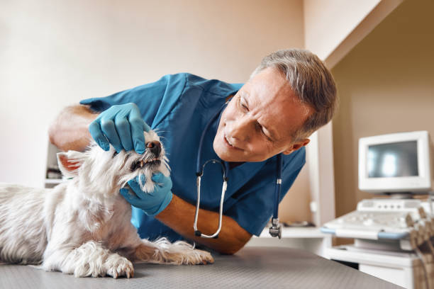 Best Emergency Tooth Extraction in Cos Co, CT